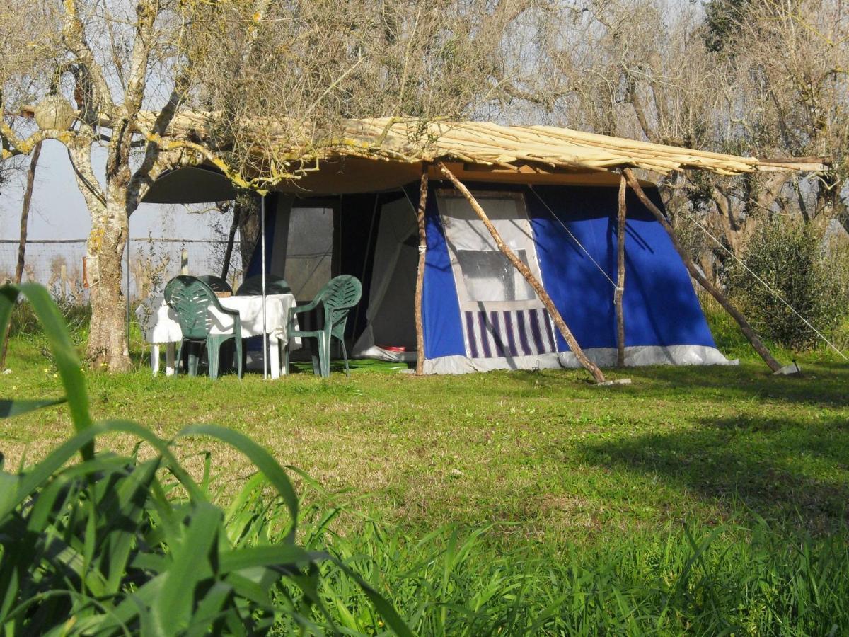 Camping Terreno-Ro-Bi-Li Hotel Cutrofiano Exterior foto